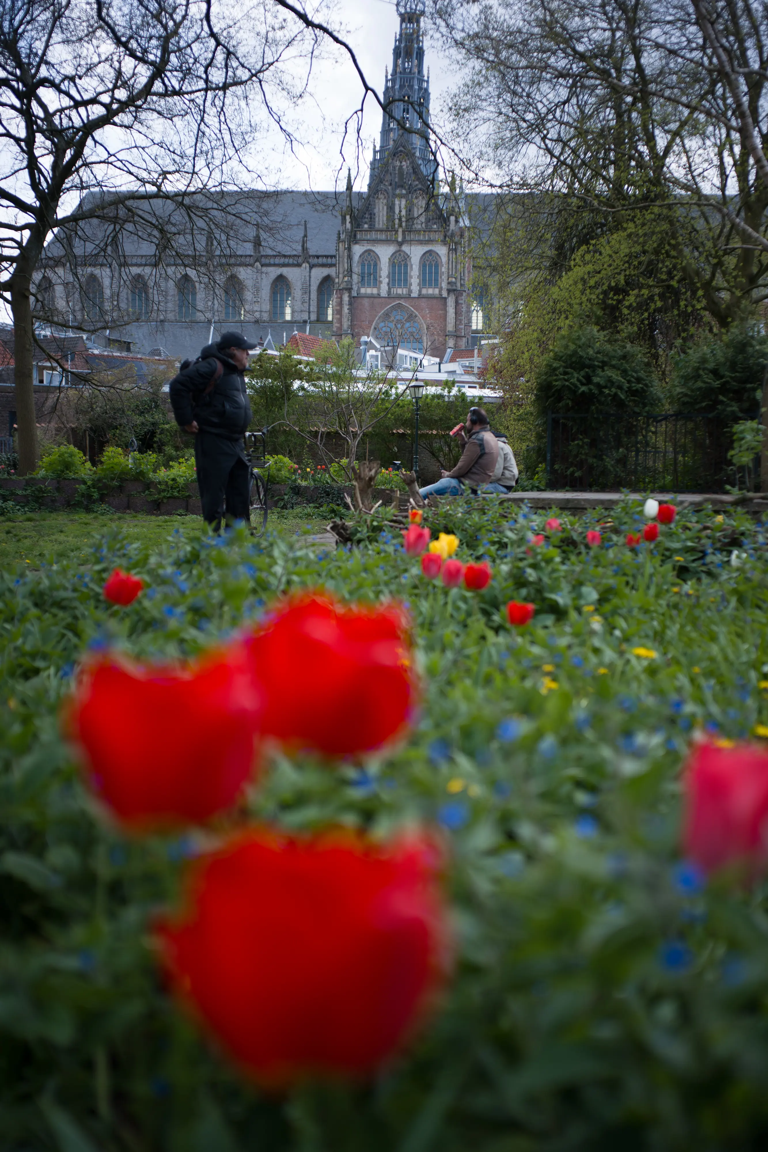 Very slight CA at f/2 but honestly really well corrected!