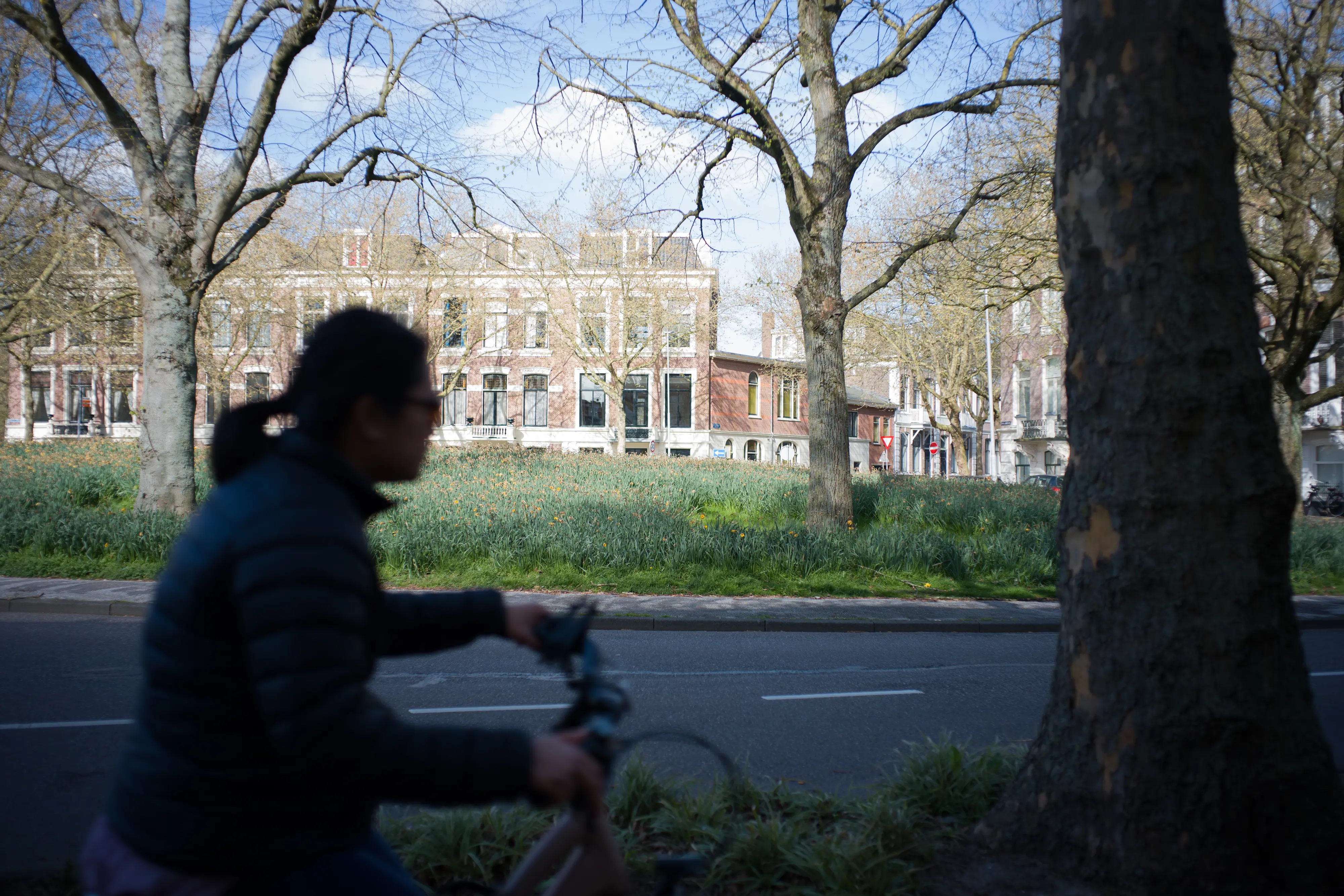 Layered composition @ f/8