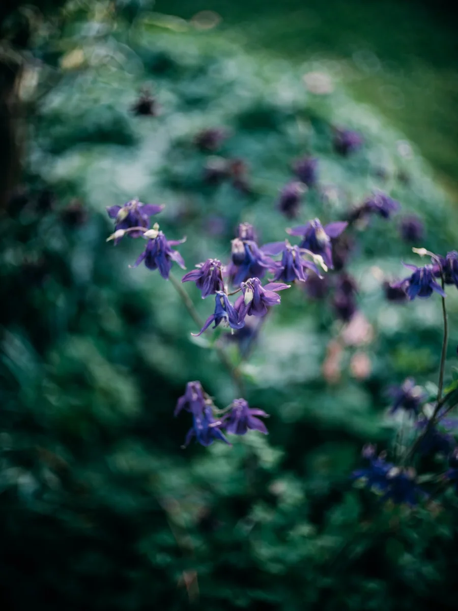 DSCF0866.webp