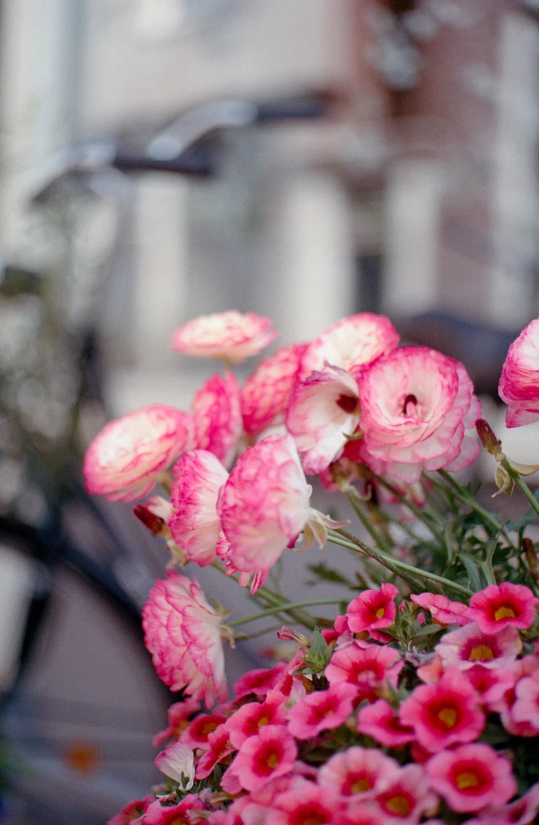 f/1.9