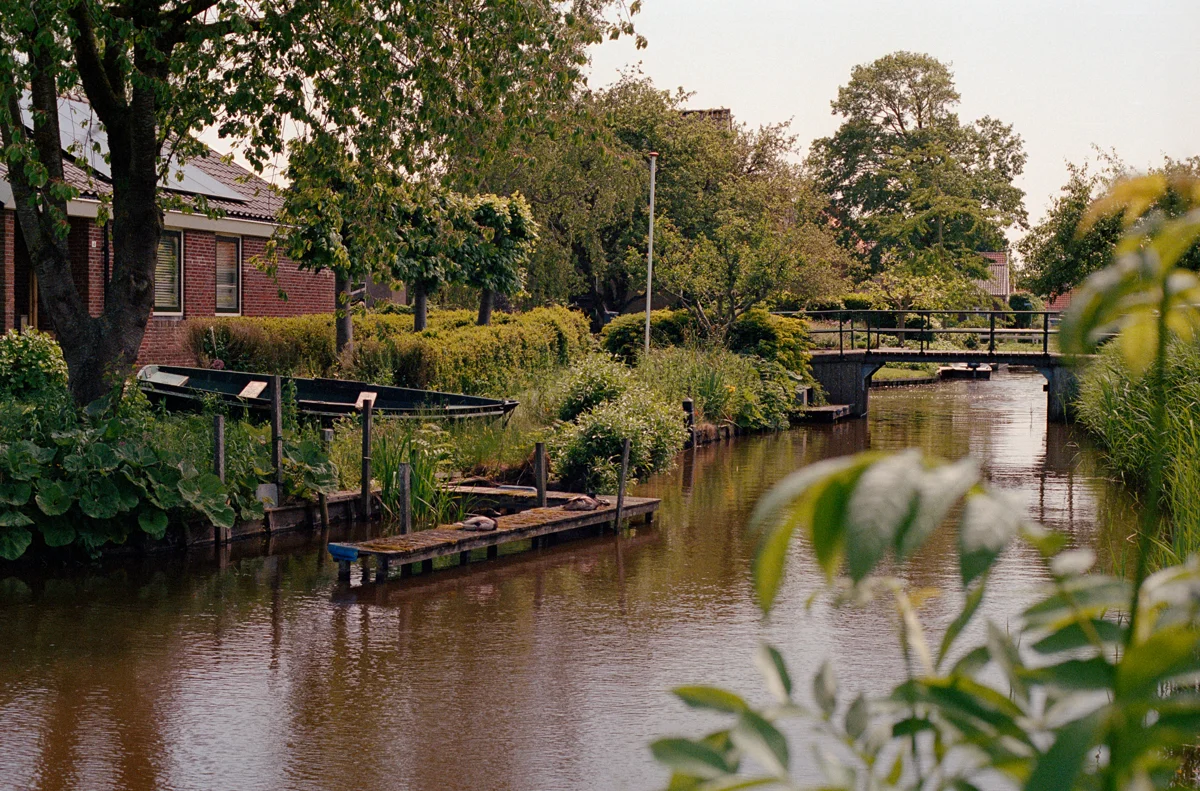 Portra 400 image of Graft