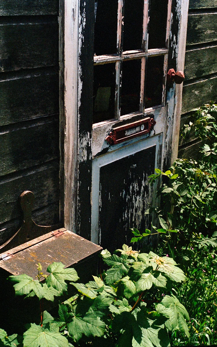 Overgrown old house in de Rijp