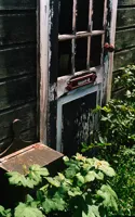 Overgrown old house in de Rijp