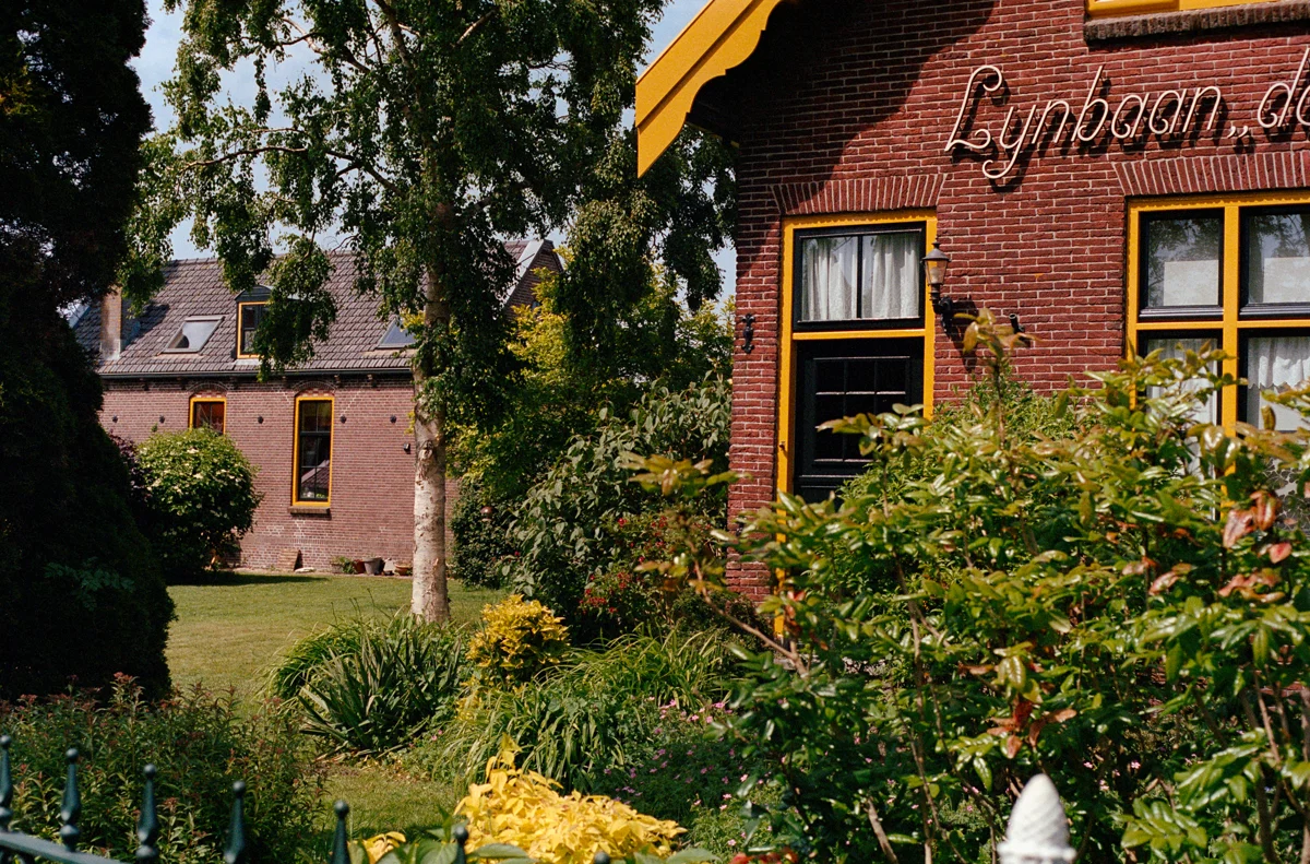 De Rijp, Lijnbaan
