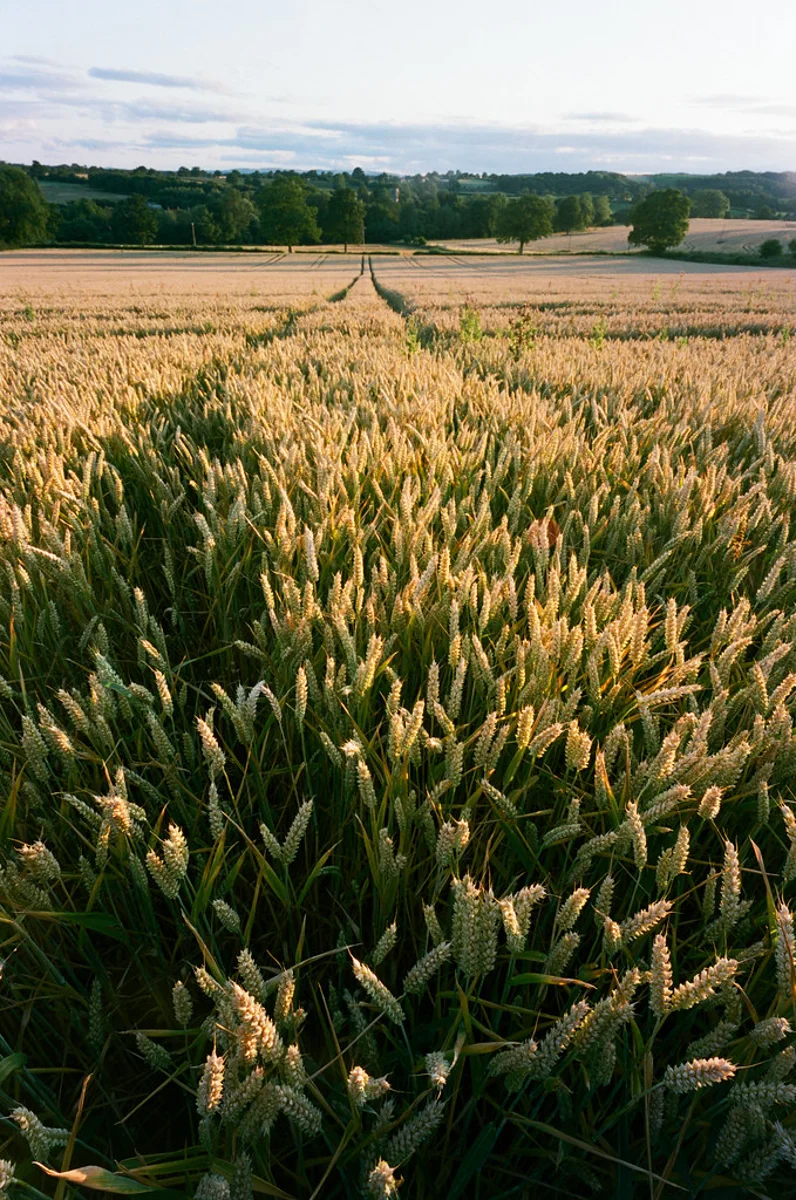 Ultra-wide sample photo from the Carl Zeiss Hologon 16mm f/8 showing its enormous field of view and corner fall-off