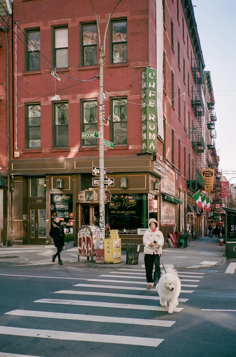 Fall colours street scene shot on a Contax T2, whose Zeiss Sonnar is the donor optic of the Omnar CX38-28