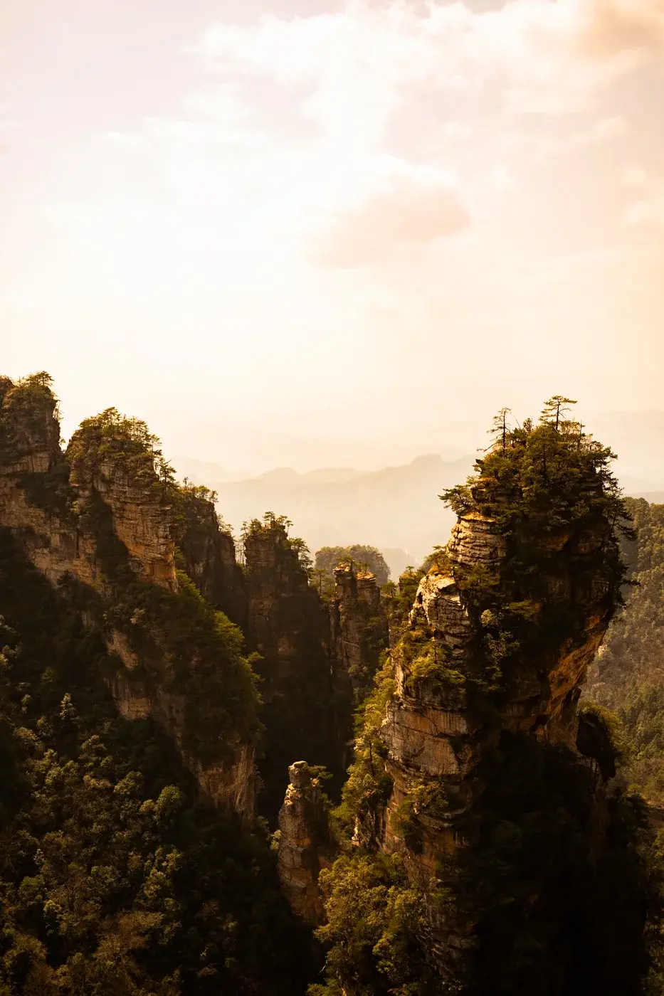 Voigtlander Nokton 35mm f/1.4 II MC lens