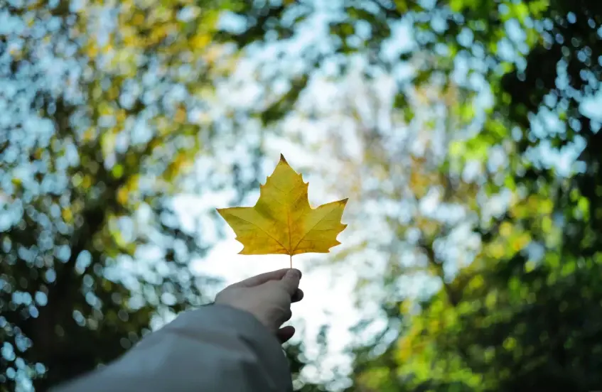 Example bokeh of Mandler 35mm f/2