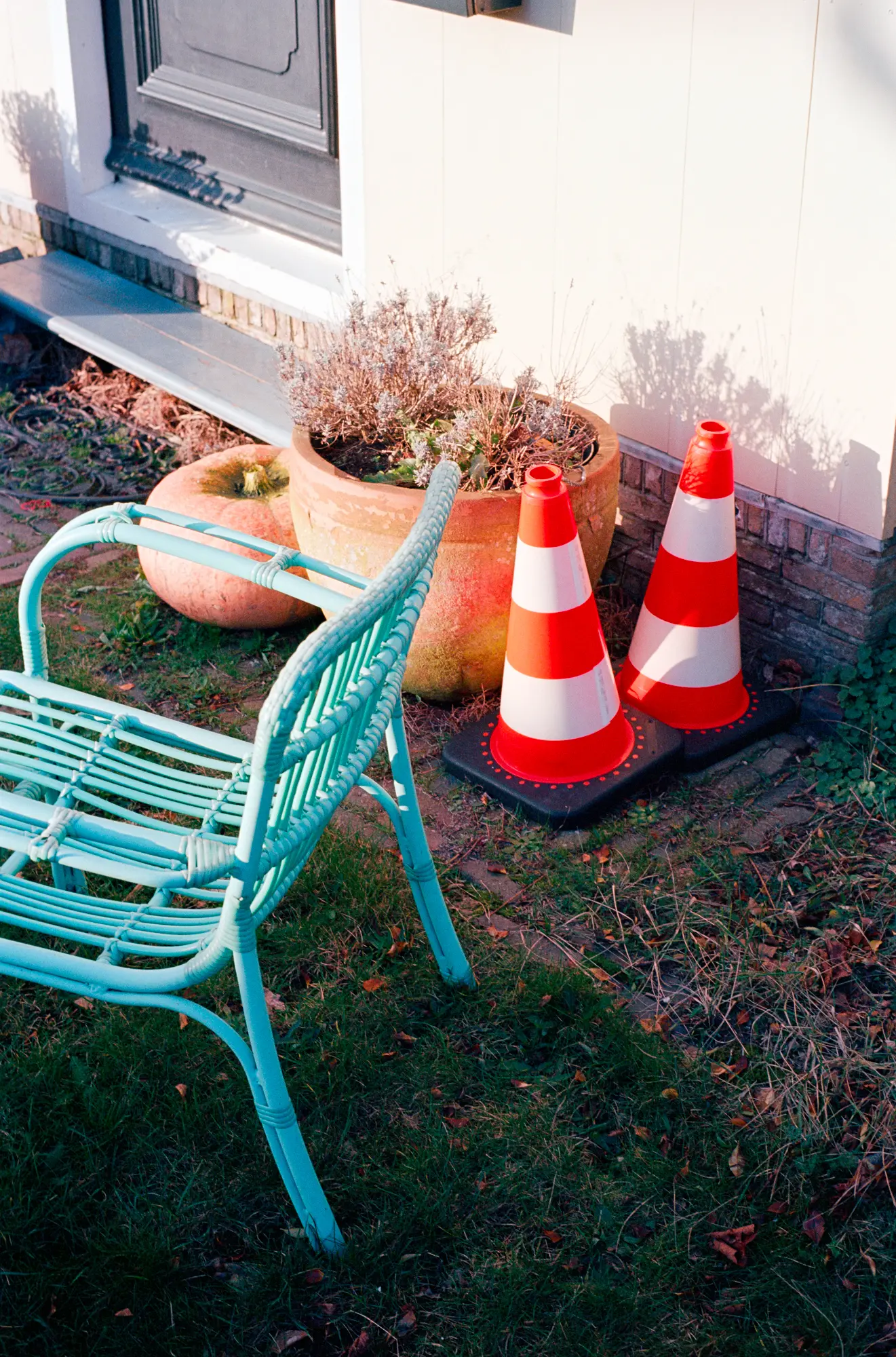 Great colors! @ f/ 5.6, Ektar 100