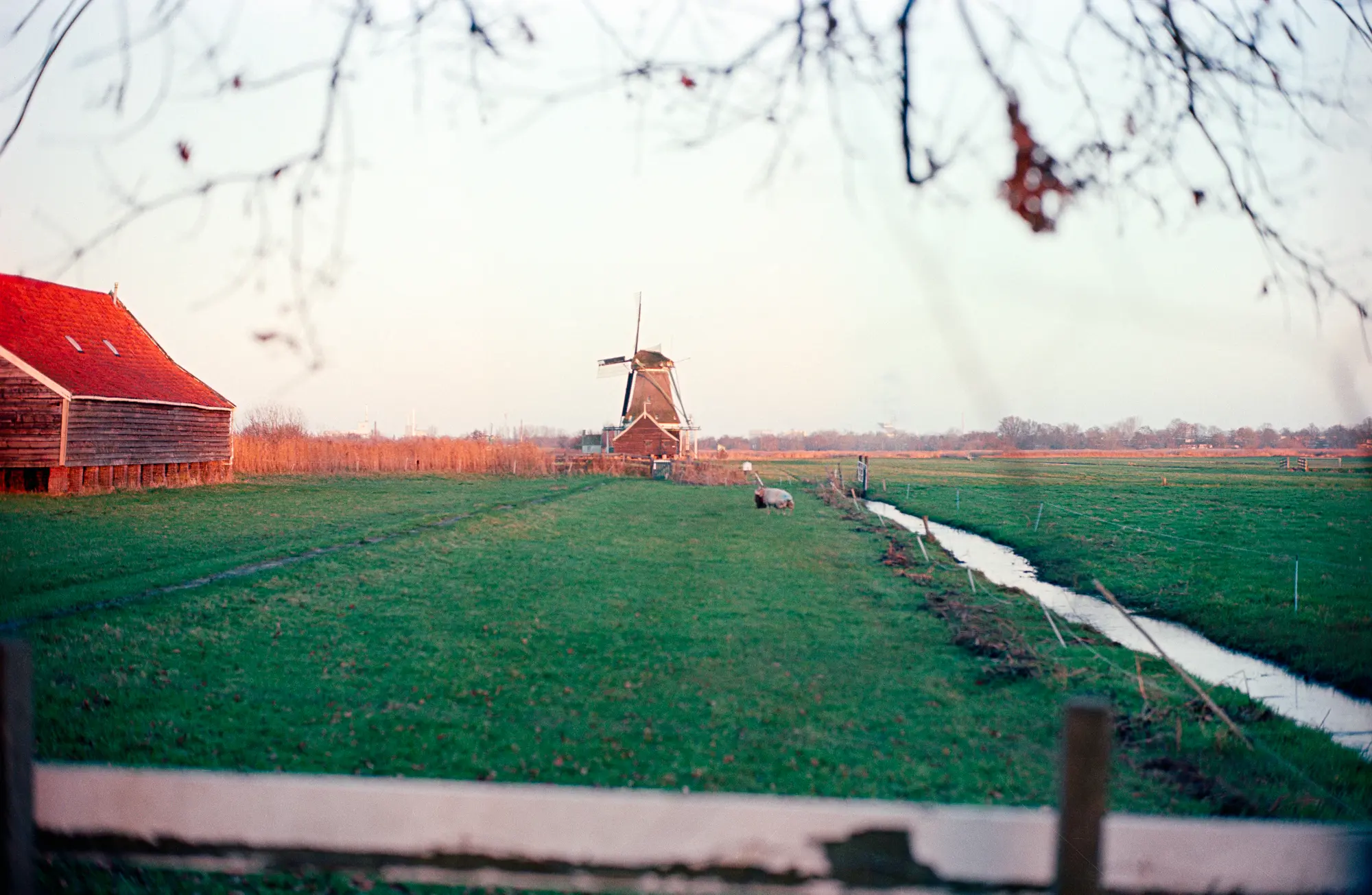 Windmill de Schoolmeester near sunset @ f/1.4, Ektar 100