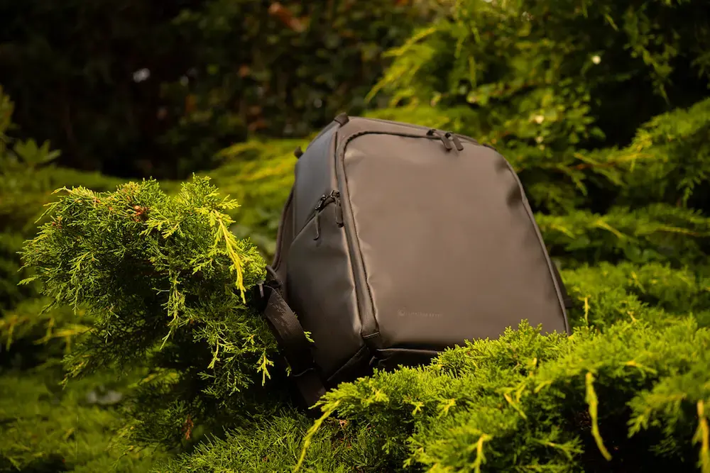 The bag in a bush
