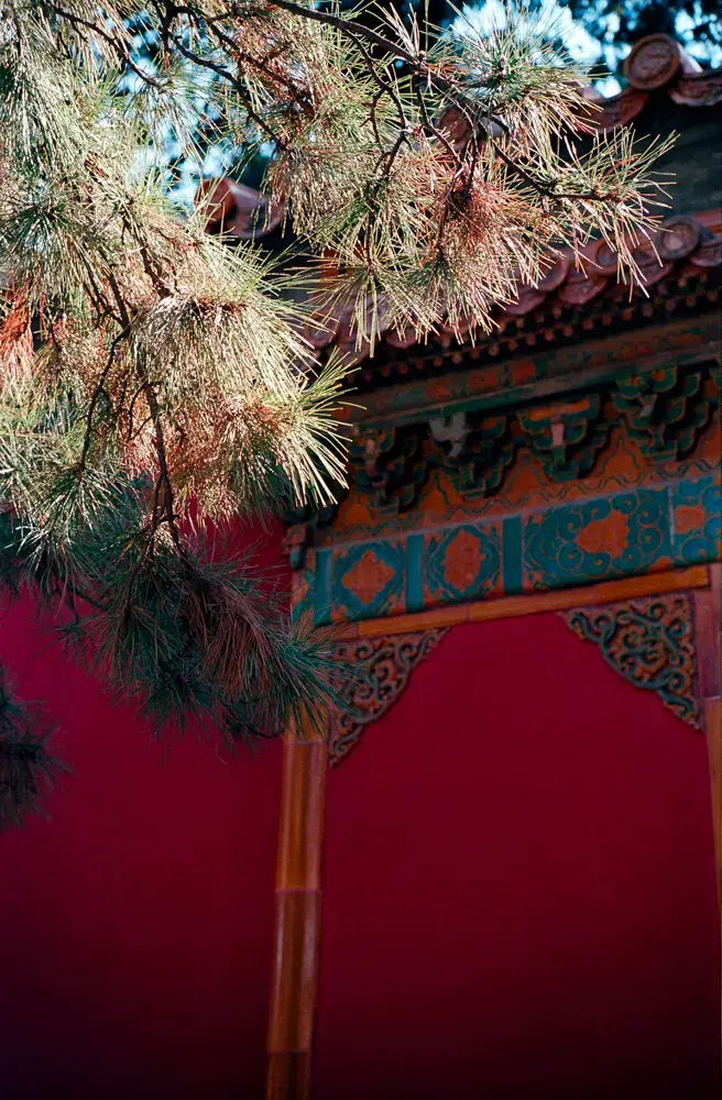 Ming Tombs, Beijing, f/5.6 with the Color Skopar 50mm f/2.2