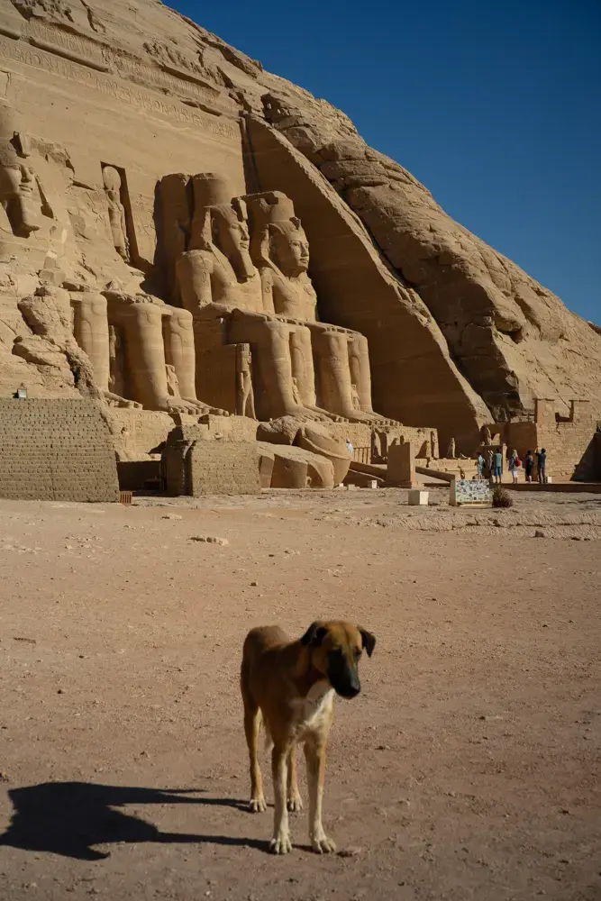 Abu Simbel Temple, Egypt, shot at f/8 with the Color Skopar 50mm f/2.2