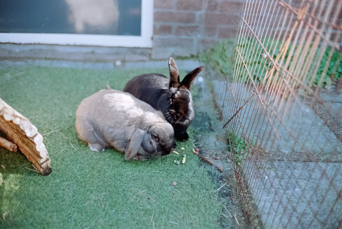 Voigtlander Nokton 35mm f/1.4 II MC lens